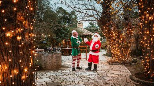 santa-elf